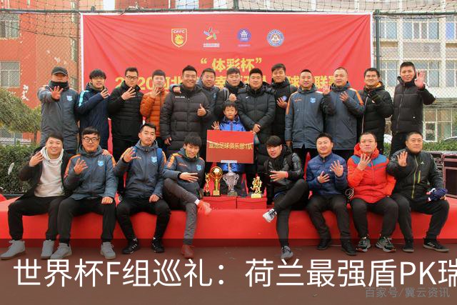 世界杯F组巡礼：荷兰最强盾PK瑞典犀利刀 日本短板明显